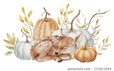 Watercolor Fawn sleeping among pumpkins and autumn plants. Illustration of Deer for harvest greeting cards or invitations. Autumn compositions with forest animal and fall leaves on isolated background Watercolor Fawn sleeping among pumpkins and autumn plants. Illustration of Deer for harvest greeting cards or invitations. Autumn compositions with forest animal and fall leaves on isolated background 133821044