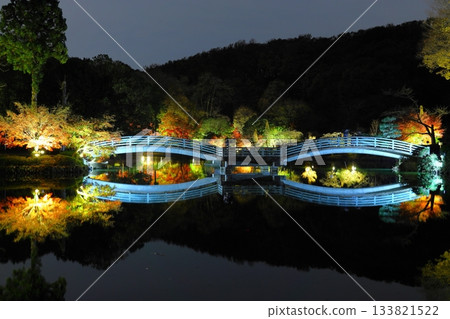 Autumn leaves illuminated at Yakushiike Park in Machida, Tokyo 133821522