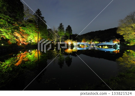 Autumn leaves illuminated at Yakushiike Park in Machida, Tokyo Autumn leaves illuminated at Yakushiike Park in Machida, Tokyo 133821524