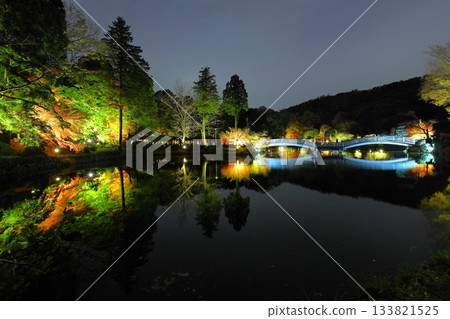 Autumn leaves illuminated at Yakushiike Park in Machida, Tokyo 133821525
