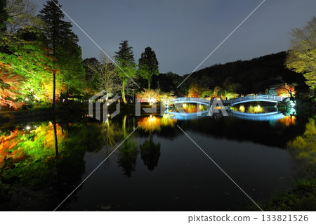 Autumn leaves illuminated at Yakushiike Park in Machida, Tokyo Autumn leaves illuminated at Yakushiike Park in Machida, Tokyo 133821526
