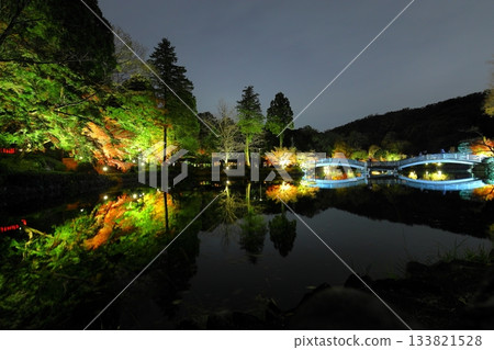 Autumn leaves illuminated at Yakushiike Park in Machida, Tokyo 133821528