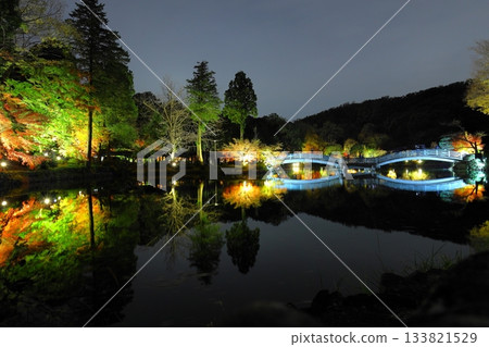 Autumn leaves illuminated at Yakushiike Park in Machida, Tokyo Autumn leaves illuminated at Yakushiike Park in Machida, Tokyo 133821529