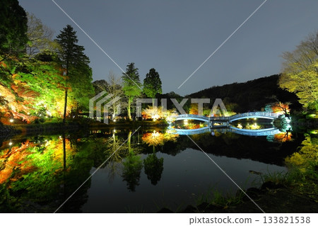 Autumn leaves illuminated at Yakushiike Park in Machida, Tokyo 133821538