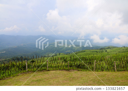 view of landscape is green grass on nature mountain in rainny season at thailand 133821657