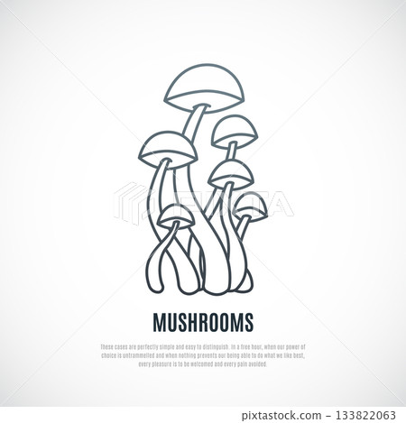 Outline vector illustration of Mushrooms.  133822063