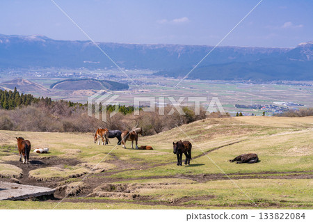 阿蘇牧場，熊本縣 133822084