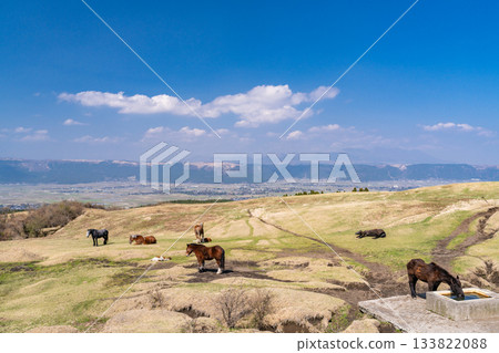 阿蘇牧場，熊本縣 133822088