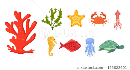 Sea underwater nature. Ocean wildlife elements. Coral, starfish, seaweed. Tropical aquatic animals and plants. Medusa, sea horse and squid. Fish turtle and crab. Cartoon vector illustrations set 133822601