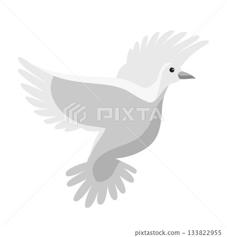 Flying dove. White grey pigeon with spread wings. Elegant and simple bird for nature, wildlife, and freedom-themed graphics. Cartoon minimalistic vector illustration Flying dove. White grey pigeon with spread wings. Elegant and simple bird for nature, wildlife, and freedom-themed graphics. Cartoon minimalistic vector illustration 133822955