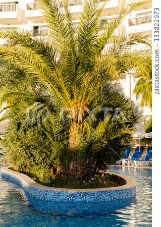 A vibrant palm tree stands at the center of a serene resort pool, with water shimmering around it as the sun sets, creating a peaceful and tropical atmosphere A vibrant palm tree stands at the center of a serene resort pool, with water shimmering around it as the sun sets, creating a peaceful and tropical atmosphere 133822973