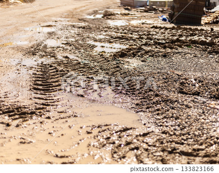 A dirt road is covered with wet mud and tire tracks after recent rainfall. Small puddles form in low areas, reflecting the bright sunlight above 133823166