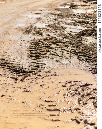 A muddy dirt road shows tire tracks and puddles, indicating recent rainfall. The scene captures the rural environment's rich, earthy textures under a clear sky 133823168