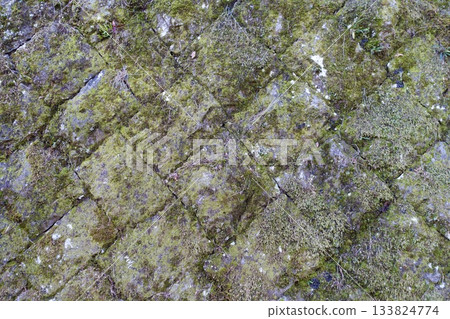Old retaining wall background, mossy stone wall 133824774