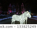 Zebras enjoying the illuminations Zebras enjoying the illuminations 133825249