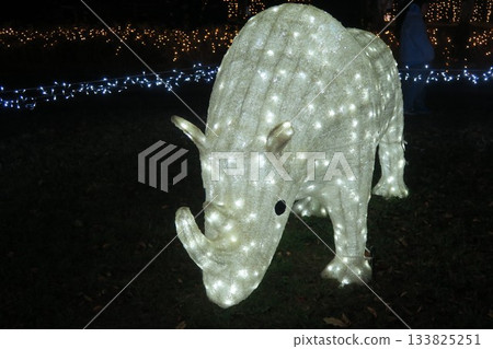 Illuminated Rhino 133825251