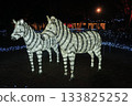 Illuminated Zebra Illuminated Zebra 133825252