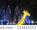 Giraffe shining with illumination Giraffe shining with illumination 133825253