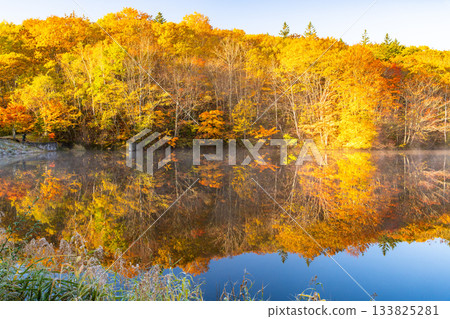 <長野縣> 黎明時的鏡池，秋色最盛時的戶隱 133825281