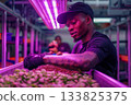 Black farmers harvesting mealworms in a high-tech indoor farm illuminated by vibrant purple LED grow lights. A futuristic blend of agriculture, sustainability, and innovation in protein production. 133825375