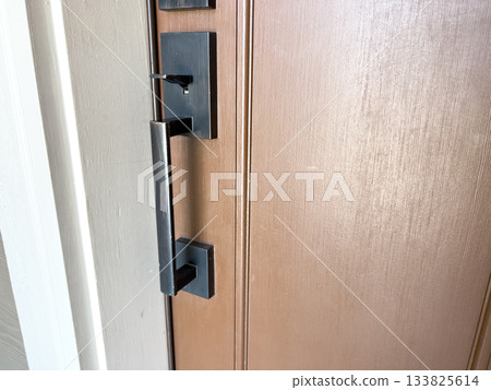 A matte black door handle is mounted on a light wood entry door. The modern hardware adds a clean and contemporary touch to the residential entryway. 133825614