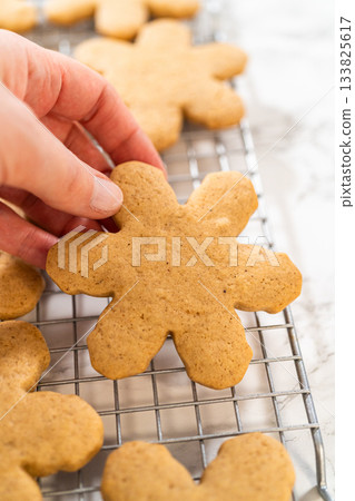 Close-up side view of a hand holding a freshly baked snowflake-shaped amber gingerbread cookie over a cooling rack, showcasing its intricate festive design and golden-brown texture. Close-up side view of a hand holding a freshly baked snowflake-shaped amber gingerbread cookie over a cooling rack, showcasing its intricate festive design and golden-brown texture. 133825617