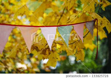 Autumn Celebration Flags on a Sunny October Day 133825728