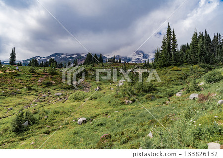 Green forest wood landscape in mountain. Nature of mixed forest. Landscape of scenery nature. Scenic landscape woodland. Hill landscape with forest. Nature mountain forest. Quiet hill country Green forest wood landscape in mountain. Nature of mixed forest. Landscape of scenery nature. Scenic landscape woodland. Hill landscape with forest. Nature mountain forest. Quiet hill country 133826132