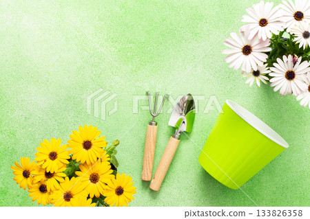 Bright spring flowers in vibrant colors decorate a balcony. Gardening tools lie next to colorful pots, inspiring a joyful planting activity on a sunny day Bright spring flowers in vibrant colors decorate a balcony. Gardening tools lie next to colorful pots, inspiring a joyful planting activity on a sunny day 133826358