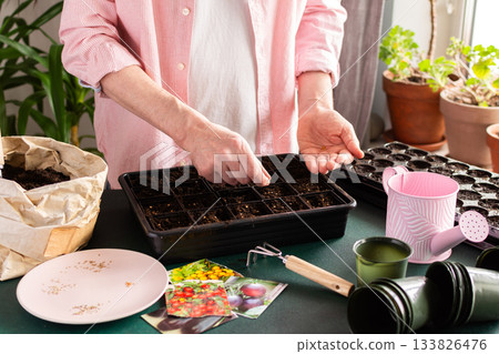 A man sows tomato seeds into a seed tray at home, surrounded by gardening tools and seed packets. He is engaged in spring garden preparation, nurturing plants from seed stage A man sows tomato seeds into a seed tray at home, surrounded by gardening tools and seed packets. He is engaged in spring garden preparation, nurturing plants from seed stage 133826476