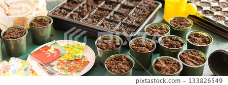 Starting tomato seeds indoors involves filling pots with soil, arranging containers, and organizing tools for a successful planting experience at home, banner Starting tomato seeds indoors involves filling pots with soil, arranging containers, and organizing tools for a successful planting experience at home, banner 133826549