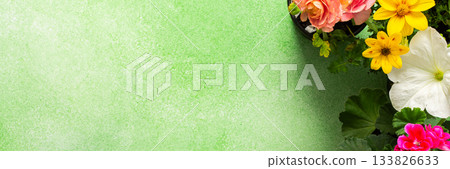 Bright flowers adorn a balcony or terrace, bringing vibrant colors to the space. This spring decoration highlights the joy of nature, inviting warmth and cheer into the environment, banner Bright flowers adorn a balcony or terrace, bringing vibrant colors to the space. This spring decoration highlights the joy of nature, inviting warmth and cheer into the environment, banner 133826633