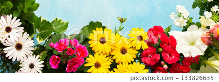 Vibrant spring flowers in various colors adorn a balcony, creating a joyful atmosphere. Seasonal blooms bring life and beauty to the outdoor space, inviting relaxation and enjoyment, banner 133826635