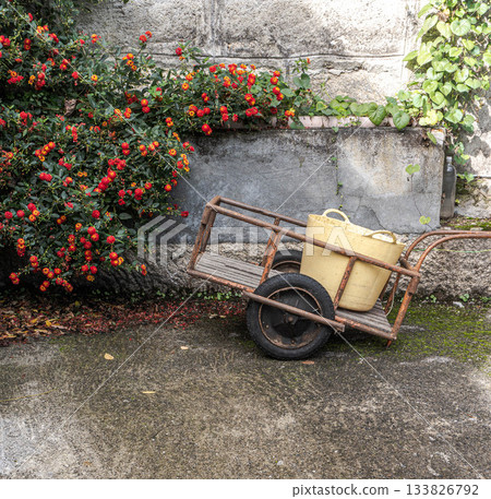 Antique wheelbarrow with bucket Antique wheelbarrow with bucket 133826792