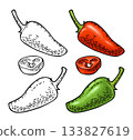 Whole and slice pepper jalapeno. Vector color illustration 133827619