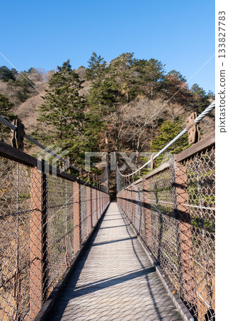 Shiobara Suspension Bridge, Tochigi Prefecture Shiobara Suspension Bridge, Tochigi Prefecture 133827783