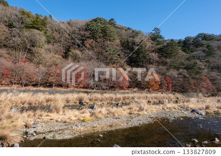 The flow of the Hoki River in Shiobara, Tochigi Prefecture The flow of the Hoki River in Shiobara, Tochigi Prefecture 133827809