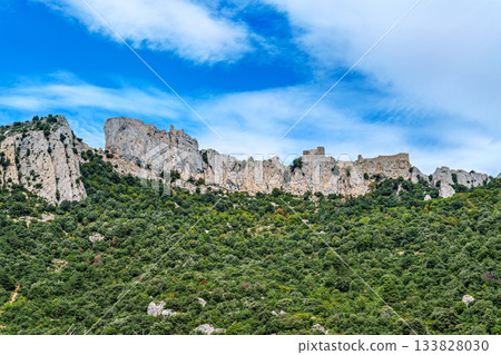 The Cathar medieval castle of Peyrepertuse in the Aude department, southern France situated in the French Pyrenees 133828030