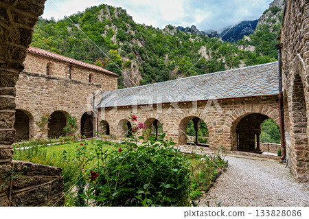Abbey of Saint Martin du Canigou. Pyrenees-Orientales department in France, founded by monks of the Benedictine order Abbey of Saint Martin du Canigou. Pyrenees-Orientales department in France, founded by monks of the Benedictine order 133828086