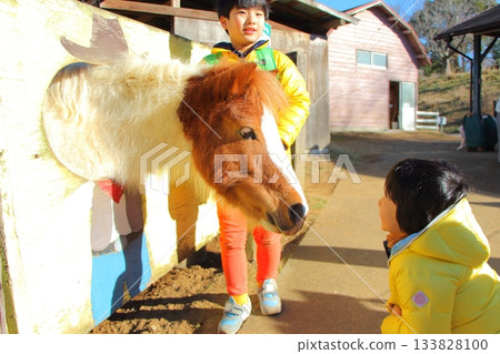 Boy interacting with horses Boy interacting with horses 133828100