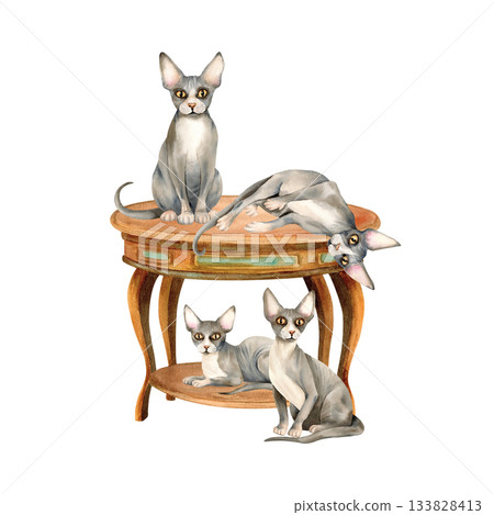 Four sphynx cats on round wooden vintage table. Cozy home interior with domestic animal, pet. Watercolor isolated hand drawn illustration of kitty character. Stationery, merchandise design, stickers Four sphynx cats on round wooden vintage table. Cozy home interior with domestic animal, pet. Watercolor isolated hand drawn illustration of kitty character. Stationery, merchandise design, stickers 133828413