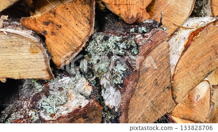 Close-up of stacked firewood with textured bark, white birch logs, and rough wooden surfaces Close-up of stacked firewood with textured bark, white birch logs, and rough wooden surfaces 133828706