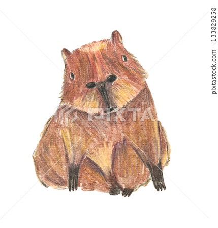 Cute color pencils drawing brown sitting capybara animal. Textured hand drawn cheerful rodent for birthday greeting card design, banner, sticker, holiday poster, t-shirt print Cute color pencils drawing brown sitting capybara animal. Textured hand drawn cheerful rodent for birthday greeting card design, banner, sticker, holiday poster, t-shirt print 133829258