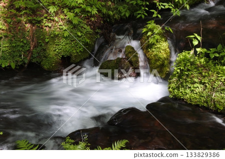 松仁澤,清新的綠色,春天 松仁澤,清新的綠色,春天 133829386