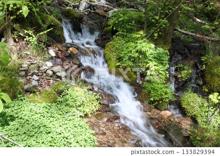 松仁澤,清新的綠色,春天 松仁澤,清新的綠色,春天 133829394