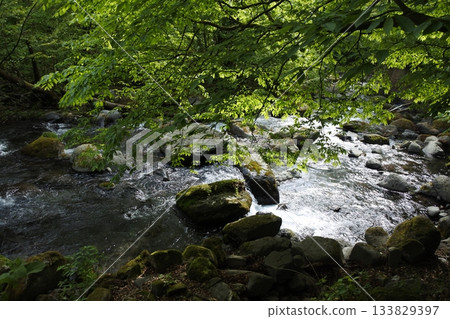 松仁澤,清新的綠色,春天 松仁澤,清新的綠色,春天 133829397