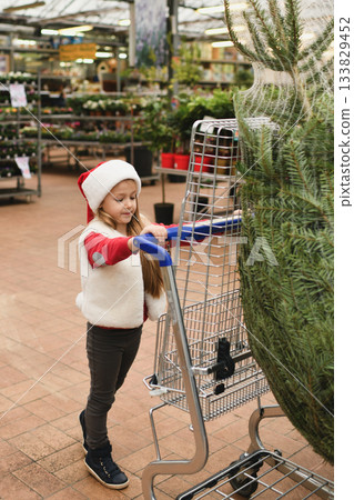 Small girl chooses a Christmas tree in the market. 133829452