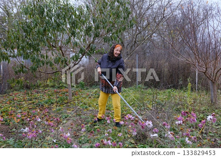An adult red-haired woman holding a rake in her hands in the garden Mature woman in garden at home watering vegetables. An adult red-haired woman holding a rake in her hands in the garden Mature woman in garden at home watering vegetables. 133829453