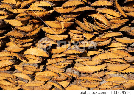 Prepared firewood. A pile of split, dry firewood on a clear, sunny day. 133829504