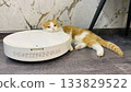 A cute red cat is resting her head on a robot vacuum cleaner 133829522